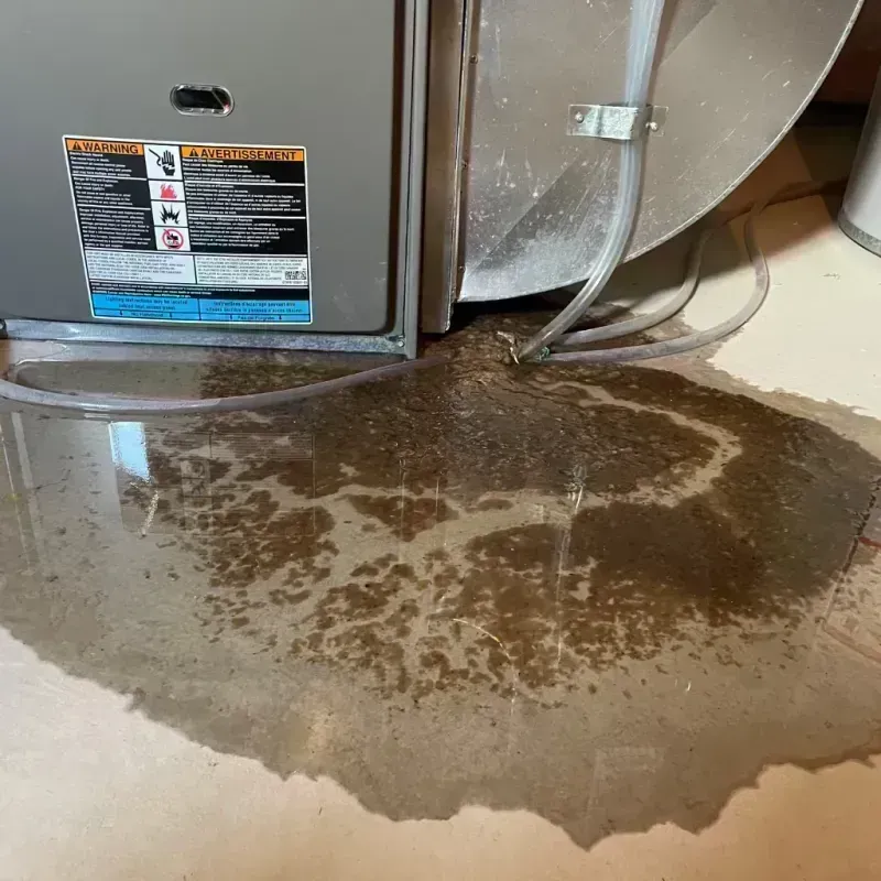 Appliance Leak Cleanup in Loch Lomond, VA